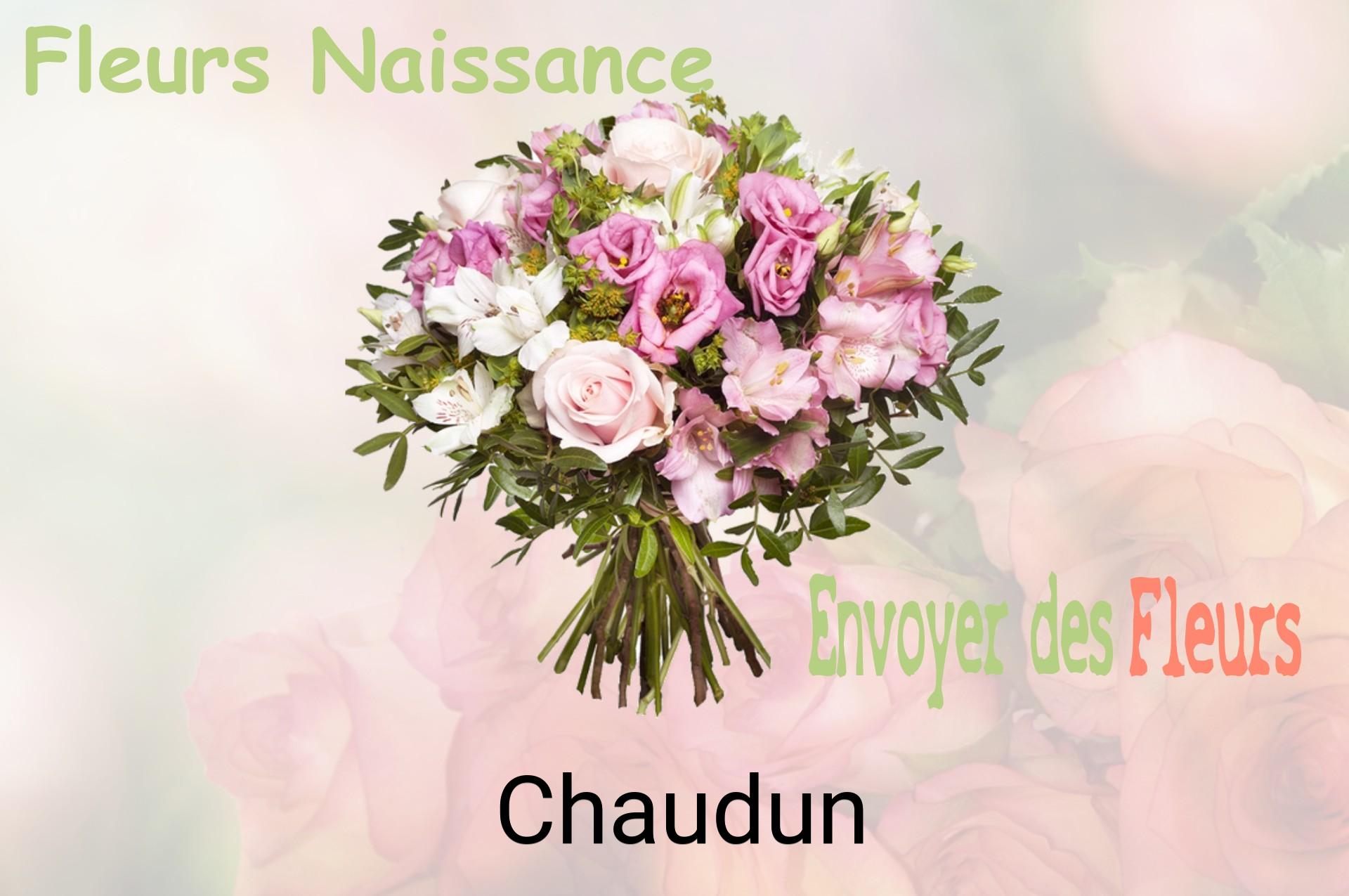 Bouquet de fleurs de naissance livré à Chaudun